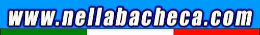 www.nellabacheca.com