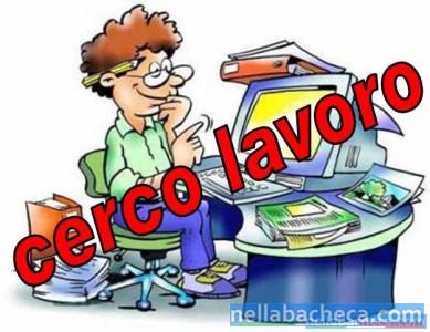 cerco lavoro