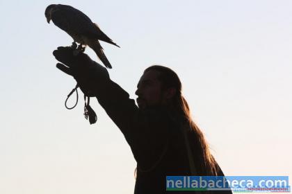 CORSO DI AVVICINAMENTO ALLA FALCONERIA