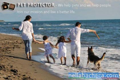 global pet protector agent e capo area