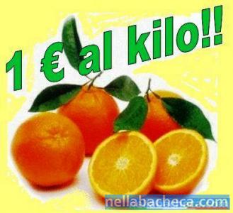 Le arance Tarocco della Calabria a prezzo speciale.