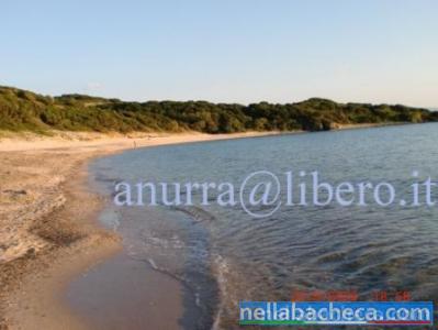 Sardegna-Isola Rossa:affitto a 30m dalla spiaggia
