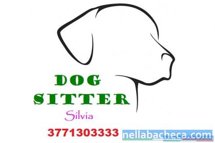 DOG SITTER