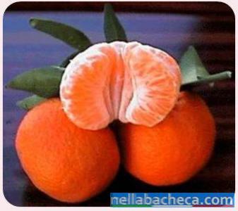 Clementine calabresi della Piana di Sibari