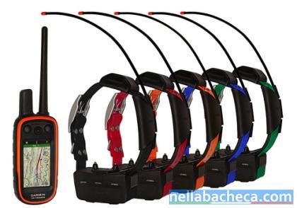 Garmin Alpha 100 Handheld with 5 TT15 Collars Cost $970 USD