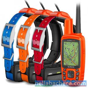 Garmin Astro 430 Handheld with 3 T5 Collars Cost $610 USD