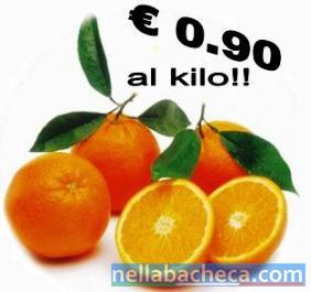 Arance tarocco della Calabria a € 0.90 al kilo.