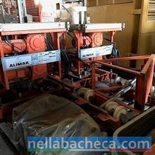 Vendesi piattaforma autosollevante Alimak