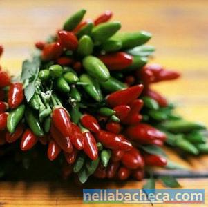 Eccellenze calabresi: il peperoncino di fresco raccolto.