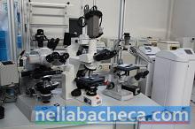 Vendesi laboratorio analisi cliniche e chimiche