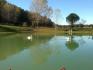 STRUTTURA TURISTICA CON PARCO E LAGO DA PESCA