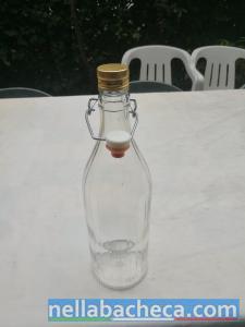 Bottiglie in vetro costellata da lt.1