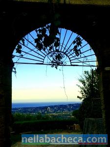 SICILIA SCOPELLO(TP)2 RUSTICI TERRENO VISTA MARE